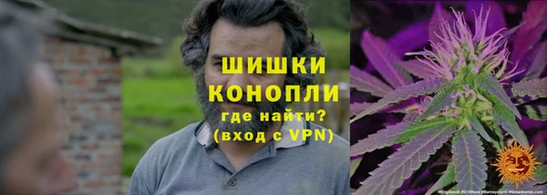 сатива Волосово