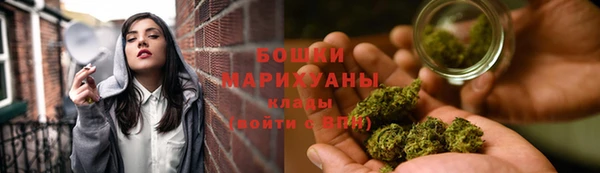 сатива Волосово