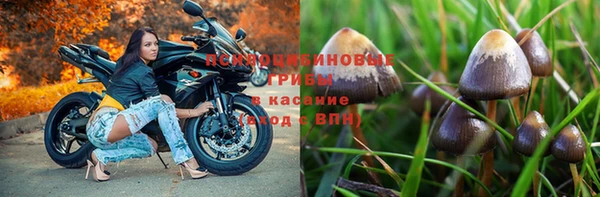 соль ск Волоколамск
