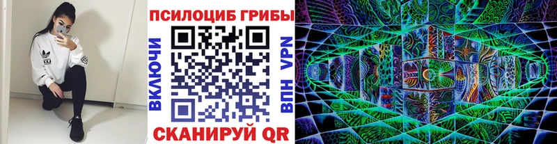 Псилоцибиновые грибы Psilocybe  Вязники 