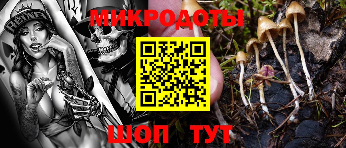 Вязники  Псилоцибиновые грибы мухоморы  Вход с VPN  Псилоцибиновые грибы Psilocybe 