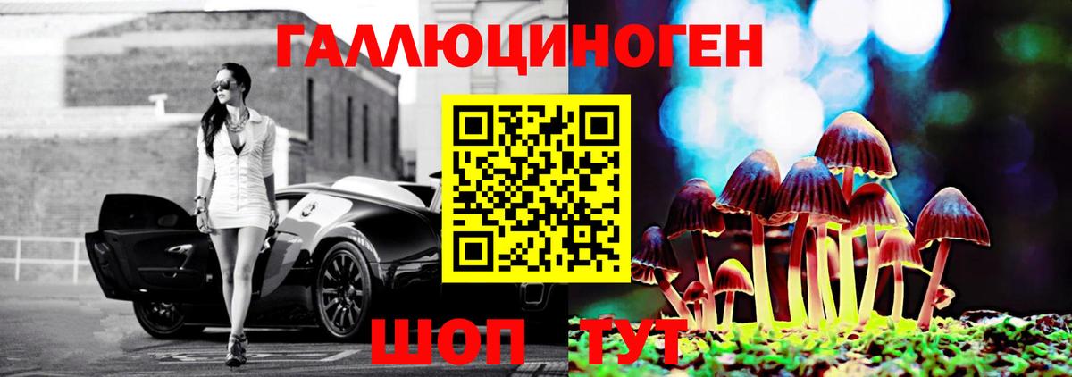 Псилоцибиновые грибы GOLDEN TEACHER Вязники